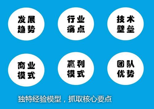 甘孜地區(qū)企業(yè)管理咨詢項目穩(wěn)定回報分析與論證